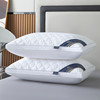 Buy One Get One Free]Five-Star Hotel Pillow Core, Washable, Single Adult Neck-Protecting Feather Velvet Pillow Core, a Pair