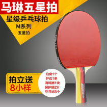 Marlene table tennis racket five-star six-star eight-star ppq racket finished racket straight racket horizontal racket double-sided anti-glue gift