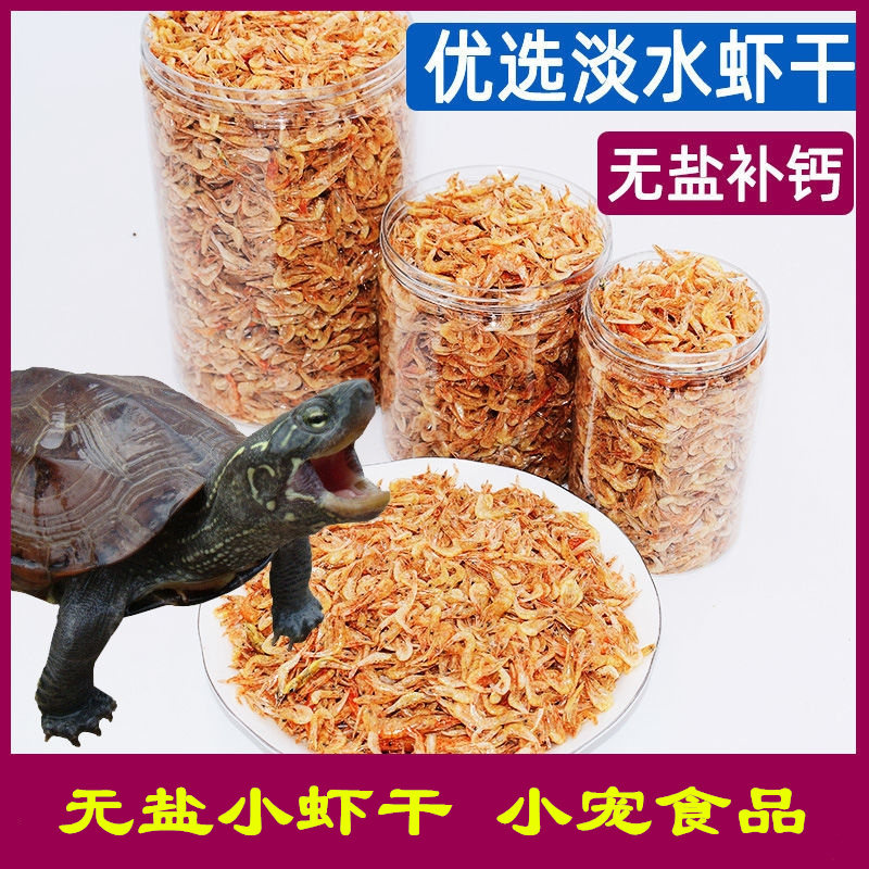 养龟必备!乌龟小虾干真的能成为龟龟们的最爱吗?养龟新手必读-观赏龟-淘宝好物网