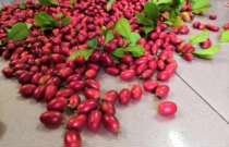 Fresh mystery fruit fresh fruit magically changes taste sourness turns to sweetness La Saint Fruit Pack ready-made tropical fruit 10 pieces