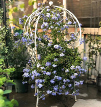 Retro casual chair Climbing Rattan with balcony Relax Chair Eurostyle Leaning Back Chair Outdoor Iron Art Chair Sloth Chair Park Chair