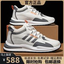 Versatile 2024 Spring and Autumn Solid Color New Fashion Walking Running Shoes Plus Velvet Warm and Lightweight Pet Shoes-003