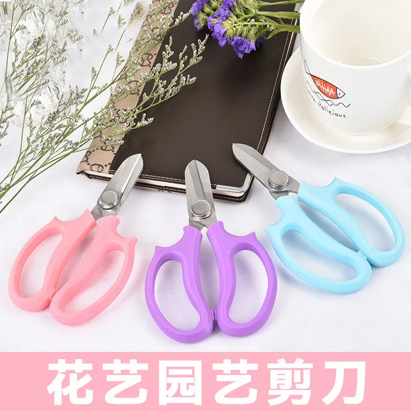 Garden Flower Trim Cut Flower Cut Flower Trim Flower Cut Flower Shop Flower Trim Fruit Vine Crop