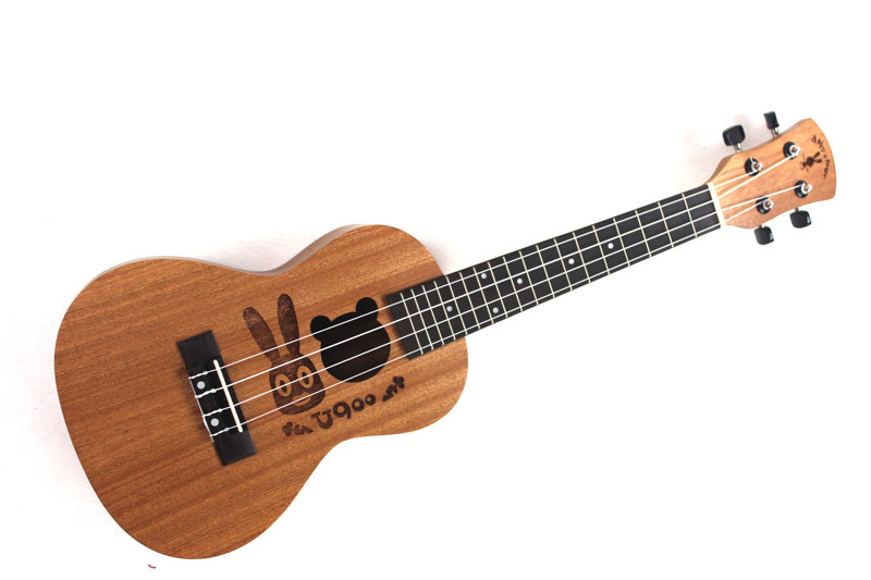 Shanghai ukulele rental Rainbow people aNueNue 21 inch rental is not for sale