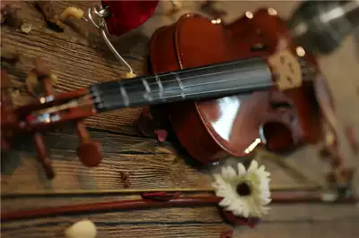 Shanghai violin rental Shanghai violin rental adult piano is rent is not sold