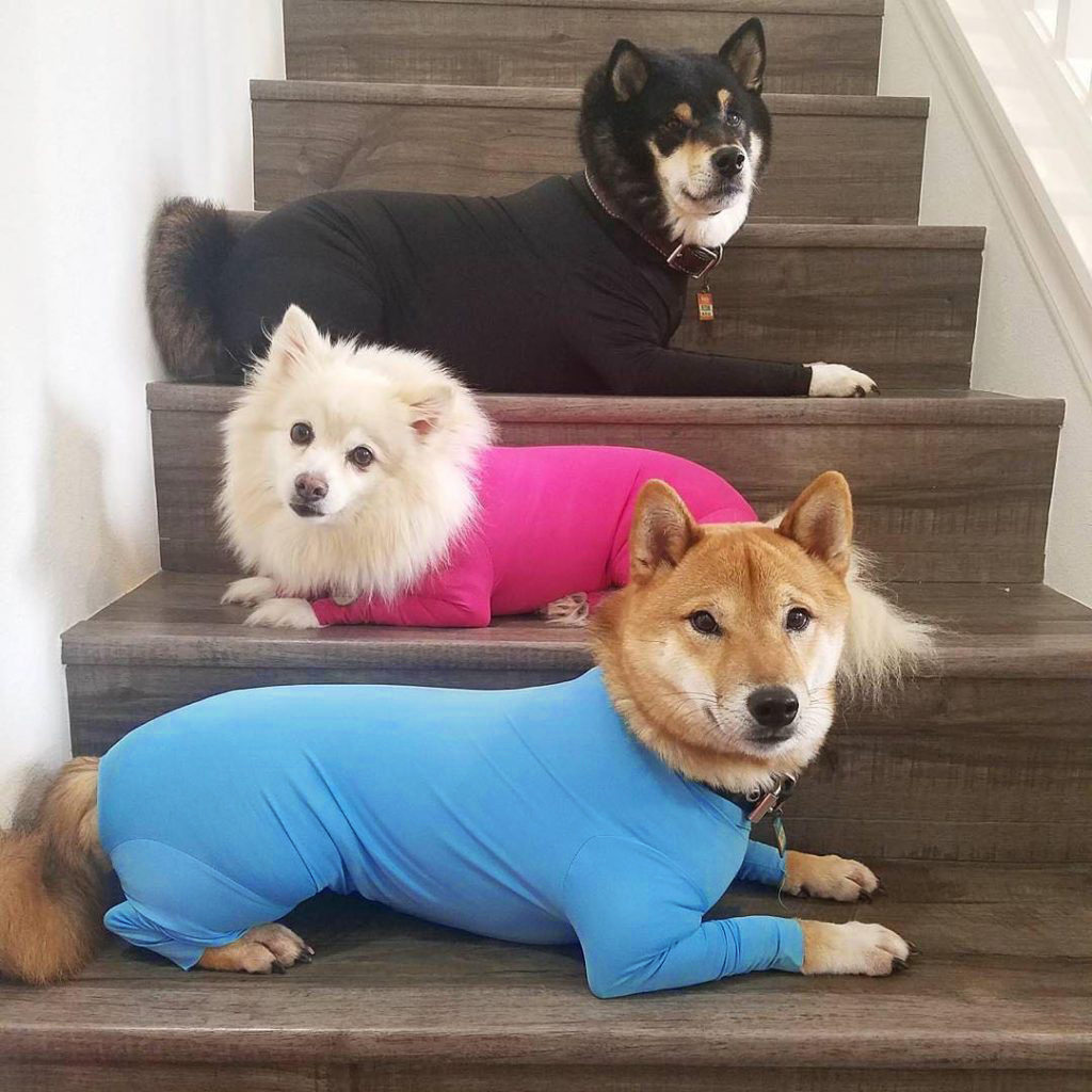 狗狗瑜伽裤宠物瑜伽服外穿凉凉衣夏季防晒防蚊虫降温术后防护服