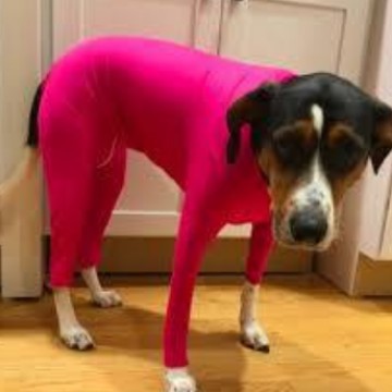 img3