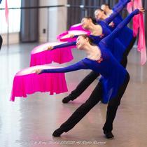 Large yangko costume classical dance practice suit rhyme gauze adult ethnic lifting dragon king fan performance dance costume