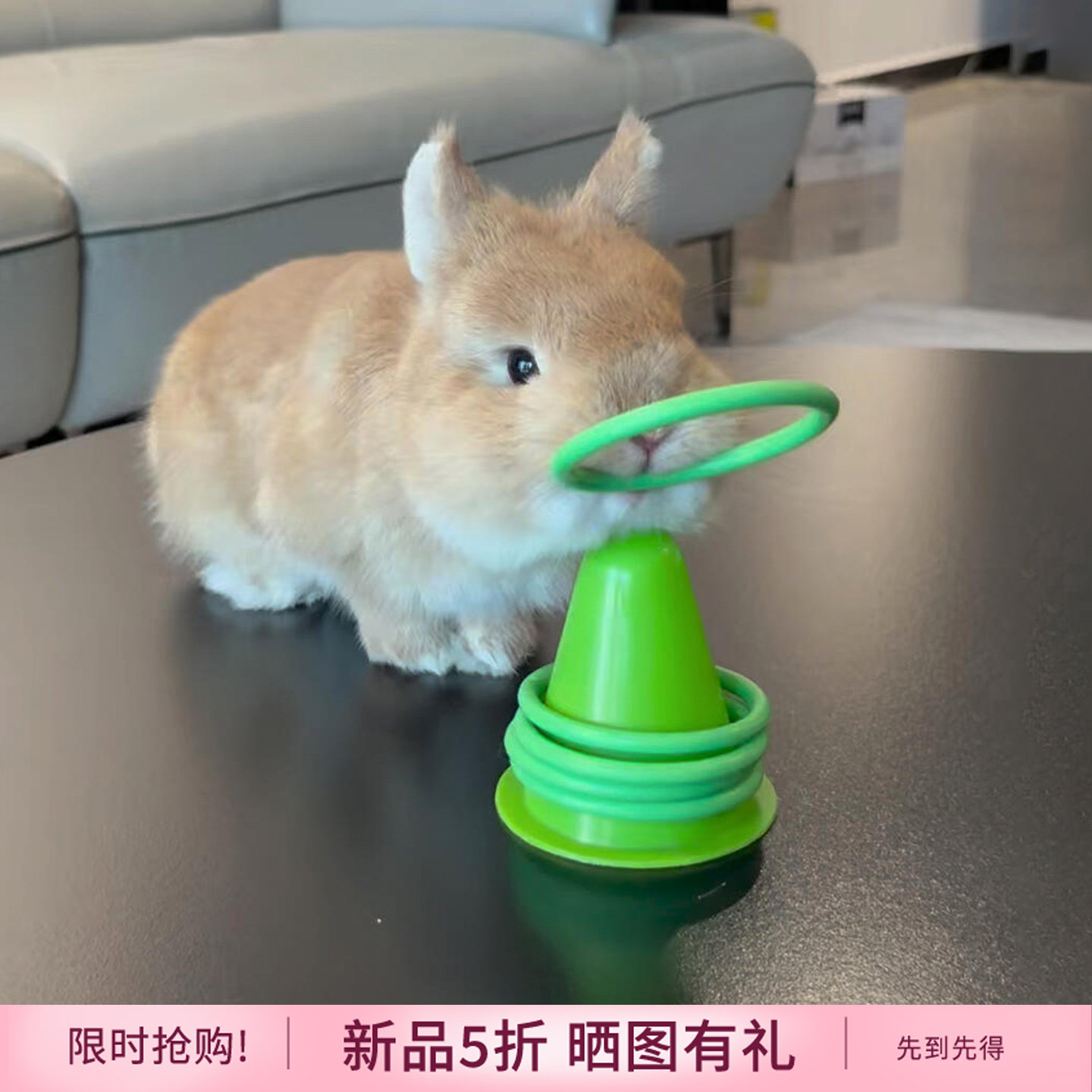 兔子解闷玩具兔子磨牙啃咬玩具兔子豚鼠益智套圈宠物发泄雪糕桶