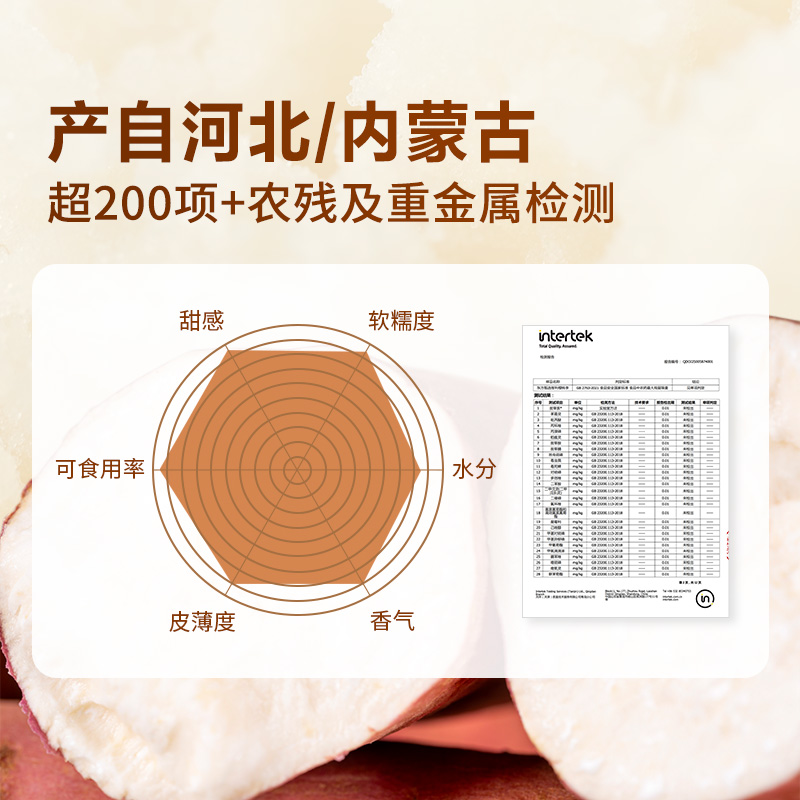哈密旅行团2025怎么选?避坑指南+真实体验揭秘