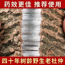 Eucommia bark 500g wild Chinese herbal medicine thick skin grade Eucommia bark soaked in tea Morinda officinalis soaked in wine Ingredients Du Zhong Du Zhong