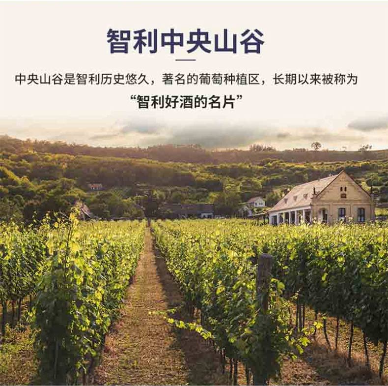 8-c60d4317-a190-45a9-b9f9-2ac194e06eb5.jpg 