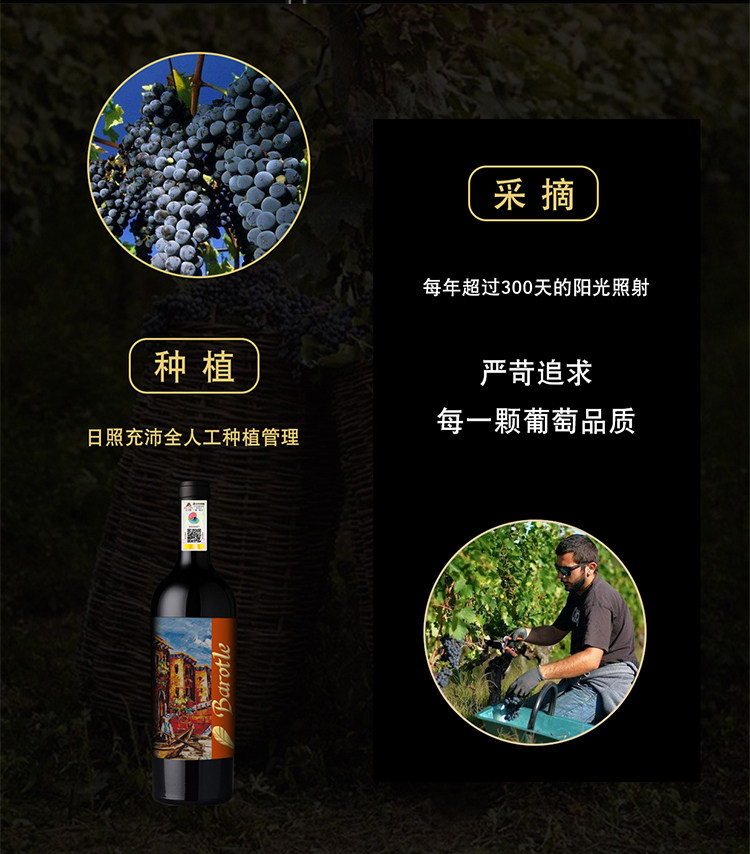 9-64c7509b42333.jpg 