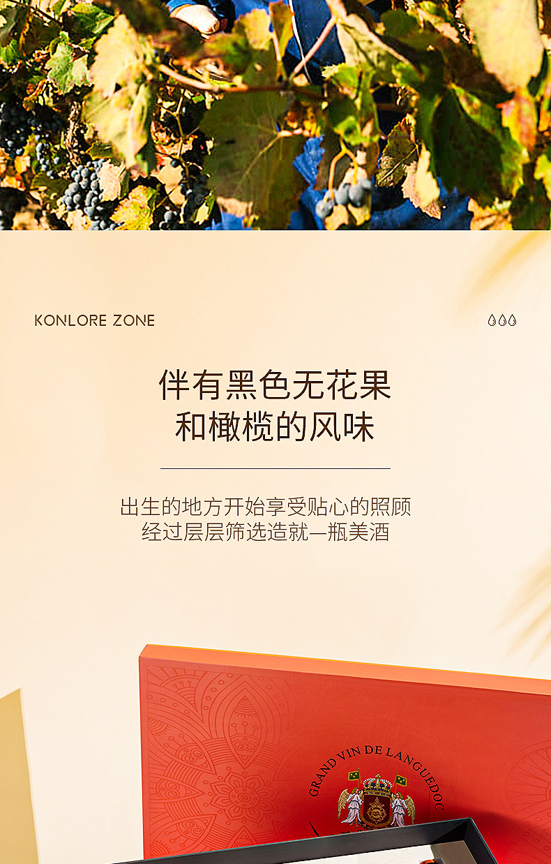 13-d0461e1a-52f7-47ab-9bf2-b71539ecde43.jpg 