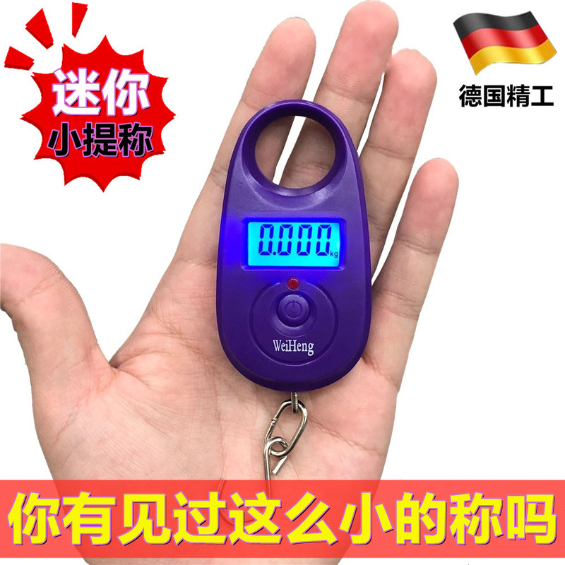 German Fish Scale, Handheld Electronic Scale, Portable Small Scale for Grocery Shopping, High-Precision Household Mini Scale