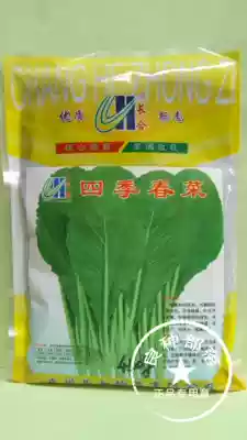 Special vegetable seeds for four seasons spring vegetable seeds (450g) growing fast Chaozhou mustard seeds