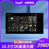 Smart home knob ten-inch central control screen graffiti switch controller wireless background music host system