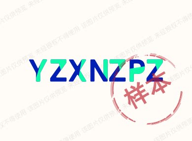 柚子星女装铺子的LOGO