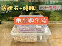 Turtle egg incubation box incubation box vermiculite spray bottle with vent holes opened vermiculite incubation
