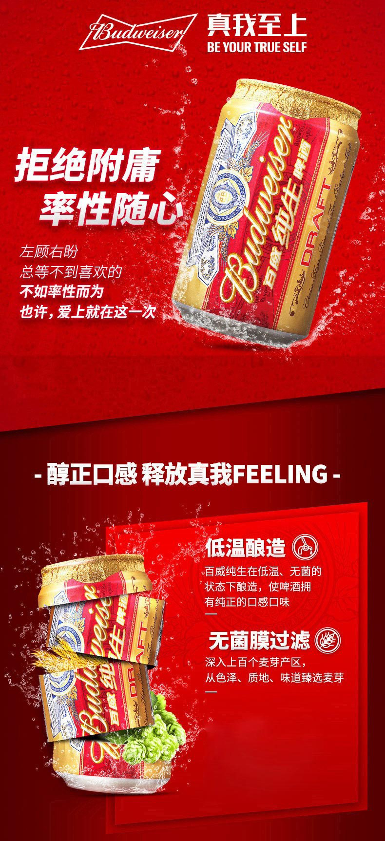 榉木工艺，慢工低温酿造：500mlx12听 百威 经典纯生啤酒 79元包邮 值值值-买手聚集的地方