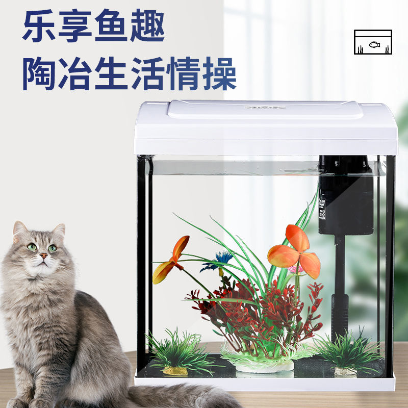 2022 net red fish tank living room home sloth free of change water table glass small and medium size scenery aquarium eco-creation 