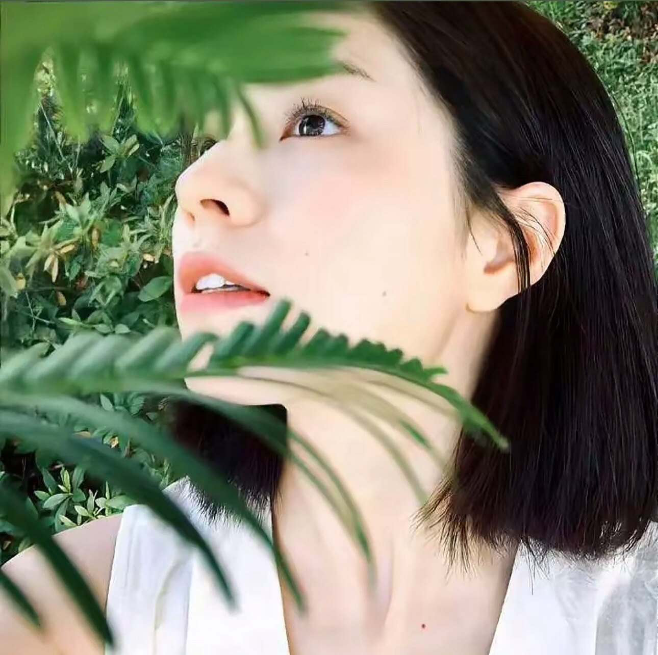 景汐