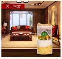 Antong water bottle toilet in the direction of the northeast of Z fungjiu household to resolve Fengshui to the west northwest corner of five yellow