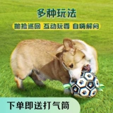 Dog Toy Ball, Self -hi Toy, Labrador Corgi Trawing Special Dog Football, кусание домашних животных