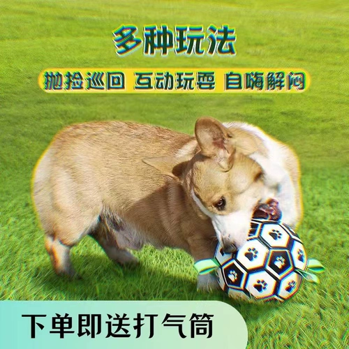 Dog Toy Ball, Self -hi Toy, Labrador Corgi Trawing Special Dog Football, кусание домашних животных