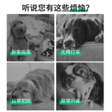 Dog Toy Ball, Self -hi Toy, Labrador Corgi Trawing Special Dog Football, кусание домашних животных