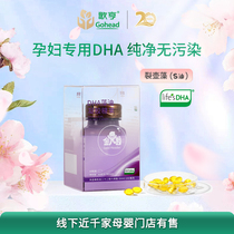 Gehenjin Head of State DHA algae oil double high content 200mg dha algae oil pregnant women dha students 60 capsules