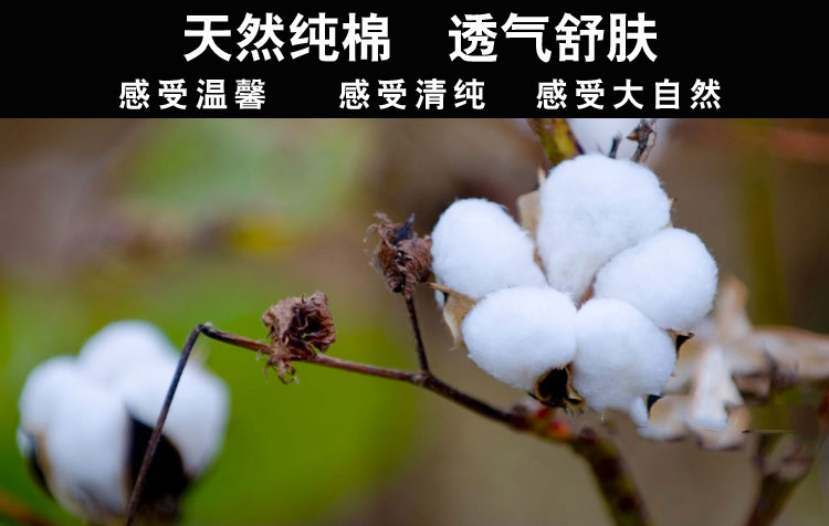 Pantalon collant en coton - Ref 753142 Image 14