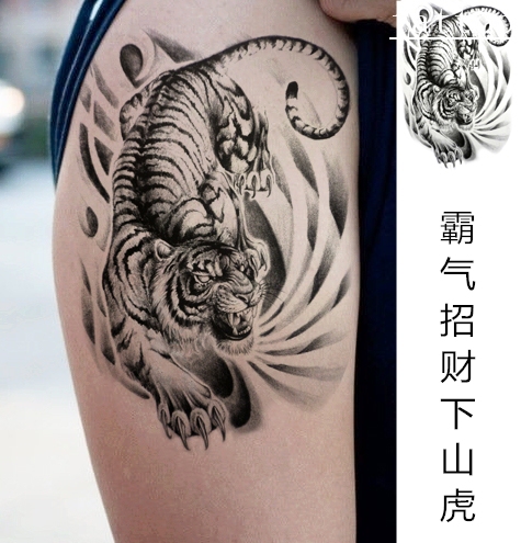 Downhill Tiger Waterproof Tattoo Sticker Realistic Tiger Head Tattoo Sticker Tattoo Flower Arm Downhill Tiger Tattoo Downhill Tiger Waterproof Tattoo Sticker Realistic Tiger Head Tattoo Sticker Tattoo Flower Arm Downhill Tiger Tattoo