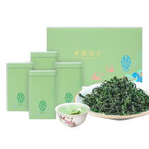 Sun Shine Green Tea Year New Tea Leaf First-class Gift Box Loading of Aroma Type Spring Tea Gifts Official Flagship Store