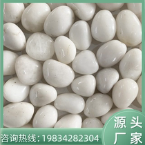 Hubei pure white pebbles Yuhua stone original stone courtyard paving soft stone home fish tank landscaping natural stone