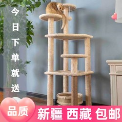 Xinjiang Tibet Hot All Year Round rattan mat does not occupy a large cat nest cat tree integrated cat toy ball cat climbing frame cat