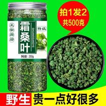 霜降秋后桑叶茶官方旗舰店特级霜打过的冻干槡叶茶