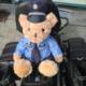 Traffic Police Teddy Bear Internet Celebrity Teddy Bear Police Bear Panda Plush Toy Doll Motorcycle Bear Plush Toy