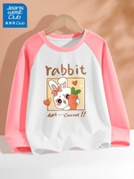 Айло Кролик Нин