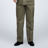 Государственная сетка зеленые штаны