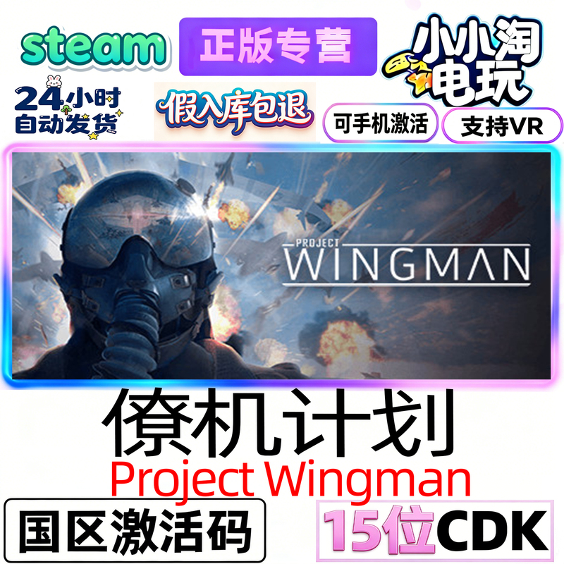 Steam Official Project Wingman China Region Cdk Air Combat Pw Ac7 Vr Game