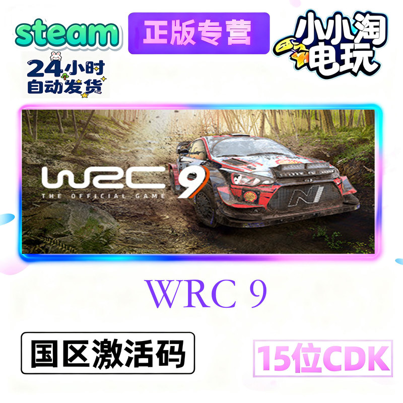 Steam Genuine World Rally Championship 9 Wrc9 Fia World National Region Pc Activation Code Cdkey
