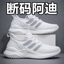 2024 New Soft Sole Versatile Sports Shoes Summer Thin Breathable Fly Weave Trendy Casual Running Outdoor Pet Shoes