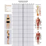 Оценка тела таблицы стола обои студии измерение тела фона фона карта