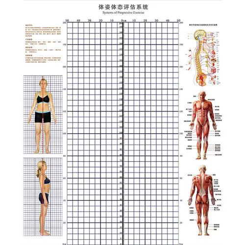 Оценка тела таблицы стола обои студии измерение тела фона фона карта