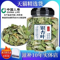 Ginkgo leaf Chinese herbal medicine Knew gingko ginkgo leaf tea séché gingko leaves official