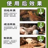 Специально для лысой задницы] Циренная куриная анти -фар -закуски против.