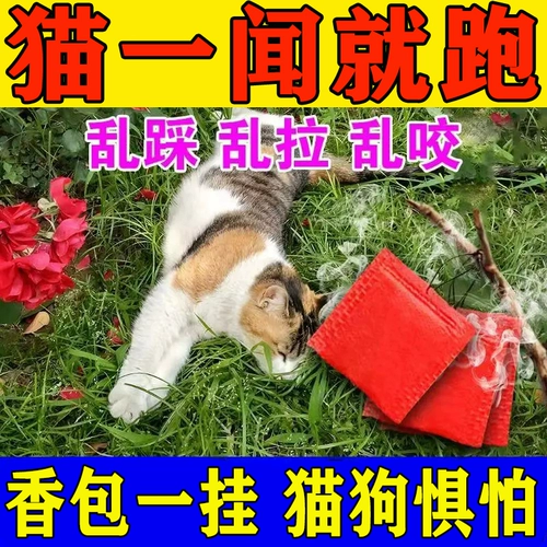 Директор по артефакту на открытом воздухе на открытом воздухе Эффективно управляет Wild Dog Wanderer, Weasel, Aquaculture Farm для цыплят, чтобы поймать клетки для кошек