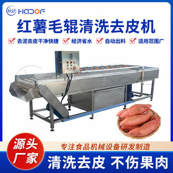 Root vegetable brush roller cleaning machine continuous ginger washing machine fully automatic sweet potato cleaning and peeling machine