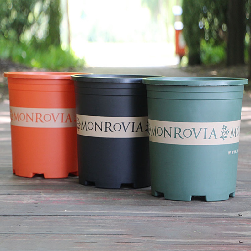 Special clearance classic gallon pots resin plastic flower pots balcony planting flowers and vegetables rose pots flower pots